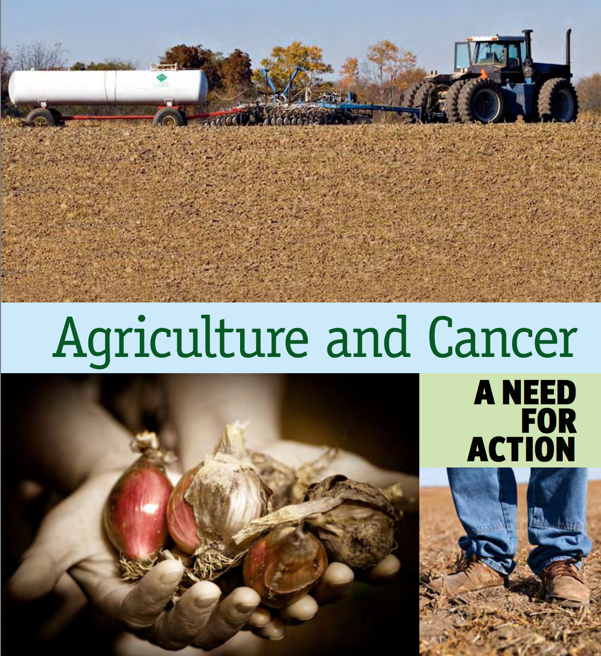 cover of Agriculture and Cancer
